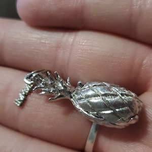 Vintage Hawaii charm